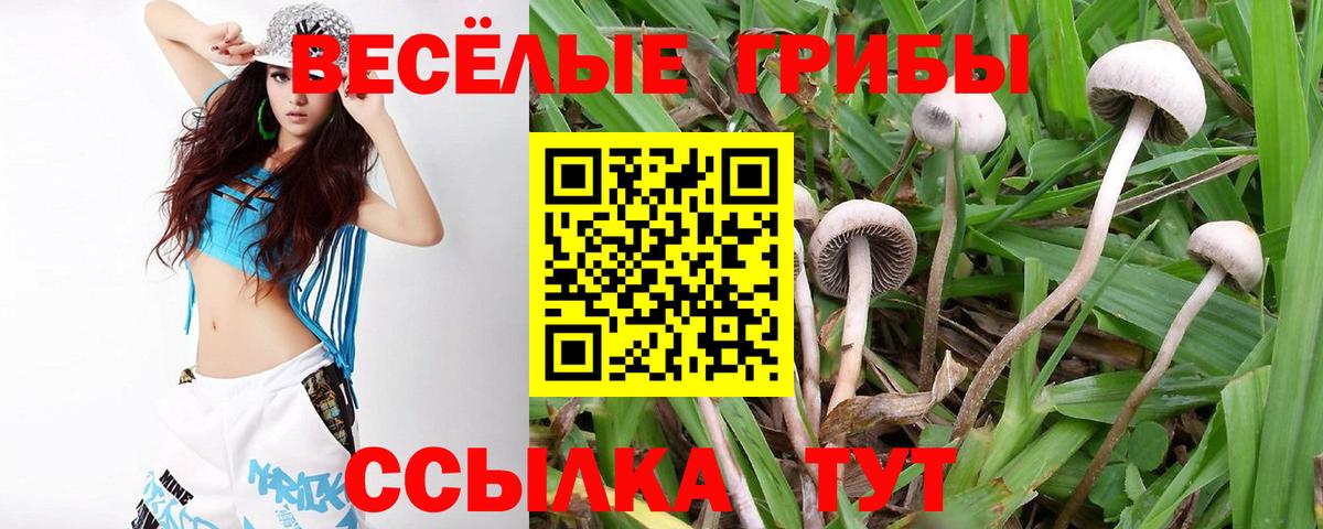 Галлюциногенные грибы Cubensis  Вход с VPN  Галлюциногенные грибы мицелий  Чебоксары 